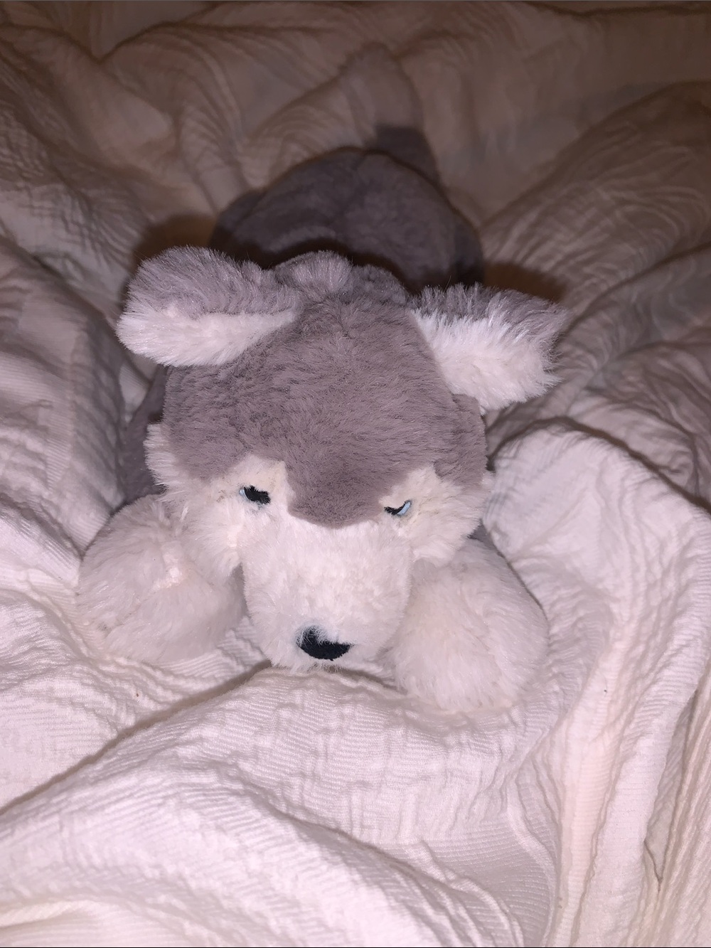 Jellycat Hudson Husky